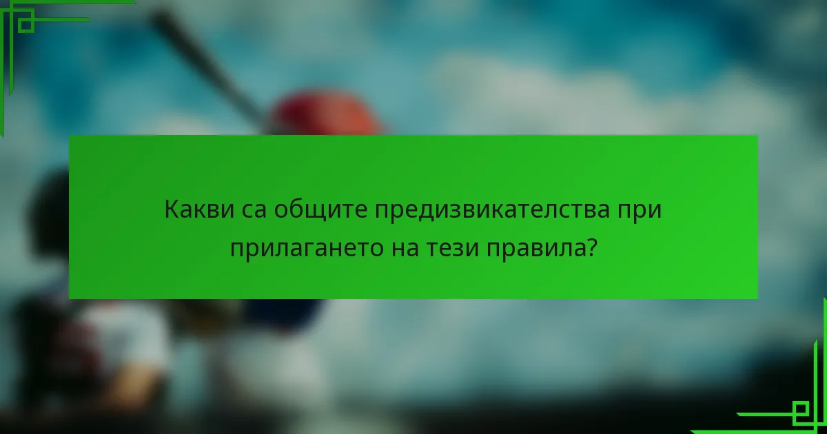 Какви са общите предизвикателства при прилагането на тези правила?